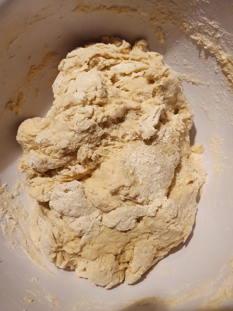 the dough in the bowl before raising