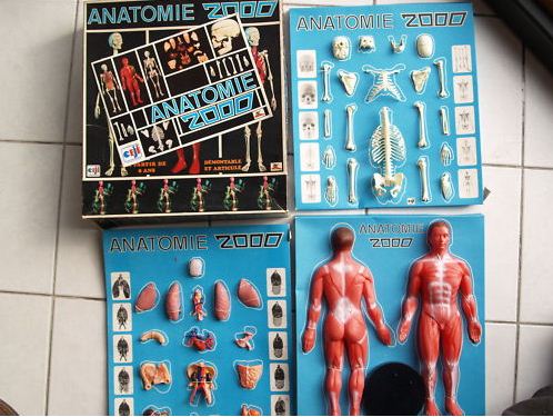 box of the set with Anatomie 2000 written on it, one card has all the bones parts another one all the organs and the last one has the plastic body cover part to put the rest in.