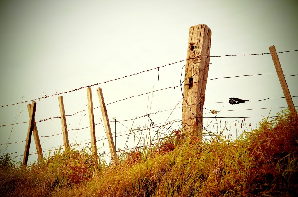 old wooden posts with some metal wires