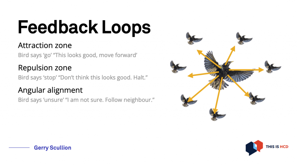 how the murmuration works, drawing of a birds pointing to 7 others and text says: Feedback Loops.
Attraction zone:
Bird says ‘go’ “This looks good, move forward’.
Repulsion zone:
Bird says ‘stop’ “Don’t think this looks good. Halt.”
Angular alignment:
Bird says ‘unsure’ “I am not sure. Follow neighbour.