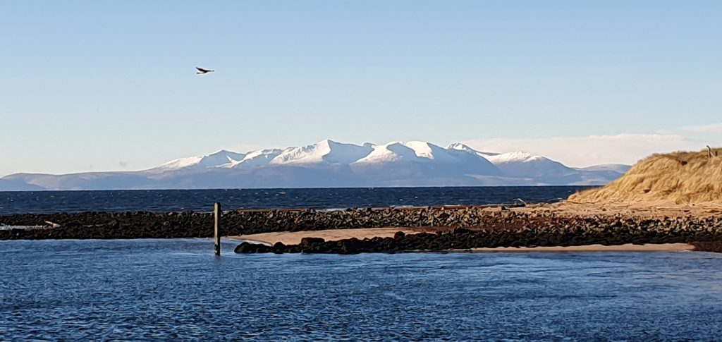 dark rocks on a sandy beach with a bit of yellow-brown vegetation on the dune, dark blue sea on the foreground and at the back of it, with snowy mountains at the very back. A single bird is flying in the light blue sky