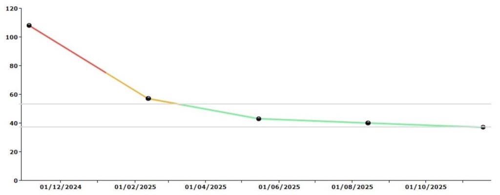 diagram with a vertical axis showing the blood sugar level and the time on the horizontal one. The line starts in December 2024 above 100 and is red, it goes down and is orange in February and is green from April with a result of 40 in November 2025